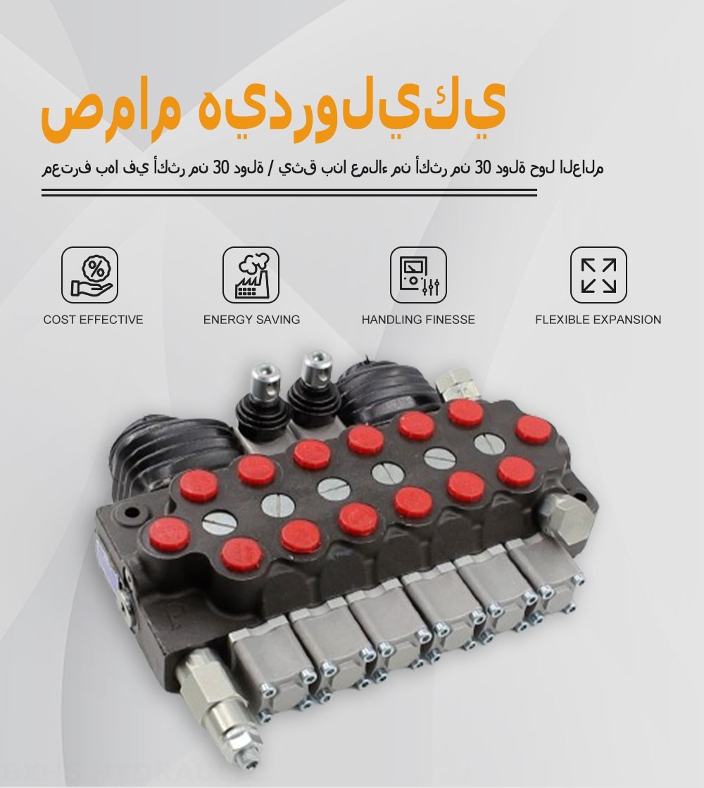 TR55 يدوي وذراع تحكم صمام 6 صمام اتجاهي كتلة واحدة